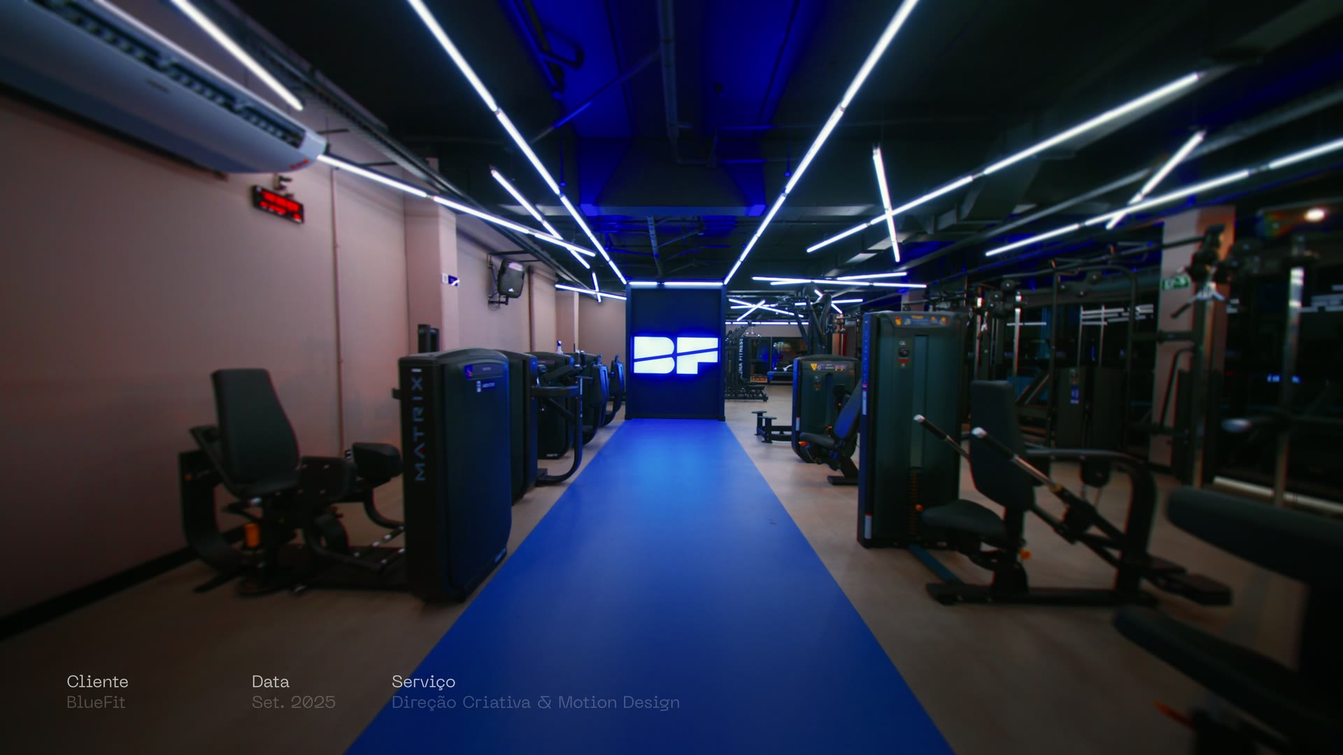 Rebranding Bluefit